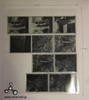 (image for) アドックス アドファイル ポリプロピレン スリーブ120用 （10枚入） - Adox Adofile Polypropylene Sleeves 120