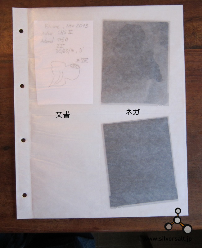 (image for) ペルガミン紙 4x5用 10枚 - Pergamin 4x5 10pcs
