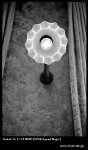Tri X Speed Major