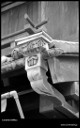 CineStill BWxx