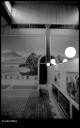 CineStill BWxx